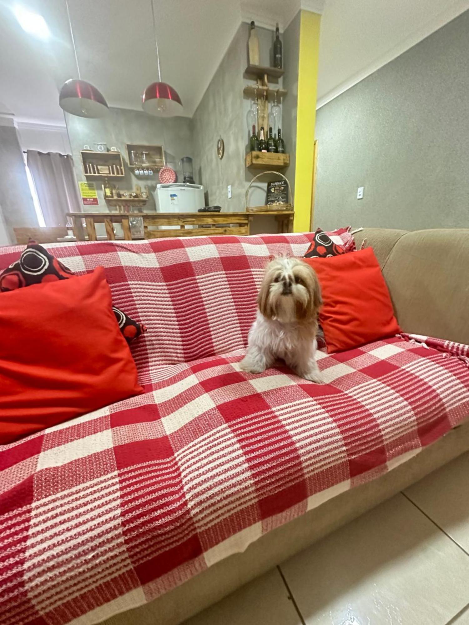 Apartment Ap+preco Popular+ar Condicionado+internet 300mb Goiania